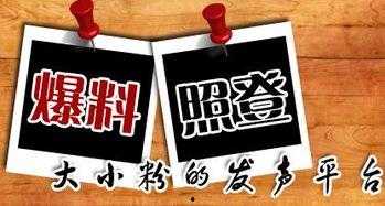 广州有什么爆料新闻平台,聚焦城市热点事件与独家新闻资讯